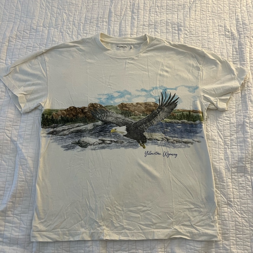 Abercrombie & Fitch Men’s Yellowstone Scenic Graphic Tee XL